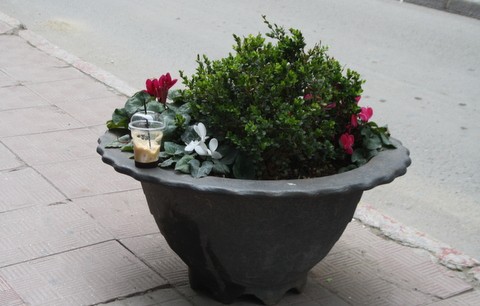 Παράτησαν τον καφέ στη γλάστρα