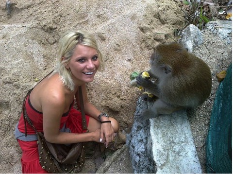 Έβγαλαν συντάξεις σε χιμπατζήδες