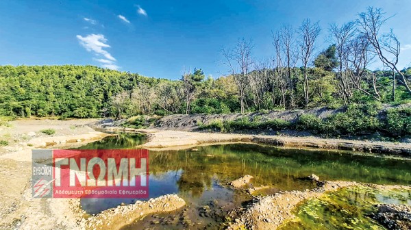ΠΟΤΑΜΟΣ ΚΗΡΕΑΣ: Εκπέμπει SOS λόγω μύκητα στα δέντρα