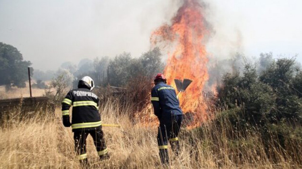 ΕΥΒΟΙΑ: Φωτιά σε αγροτοδασική έκταση σε περιοχή της Ιστιαίας