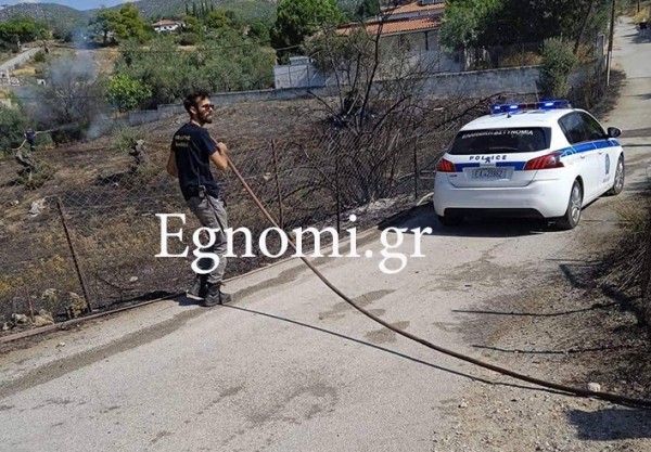 ΕΡΕΤΡΙΑ ΕΥΒΟΙΑ: Φωτιά στο Καστρί