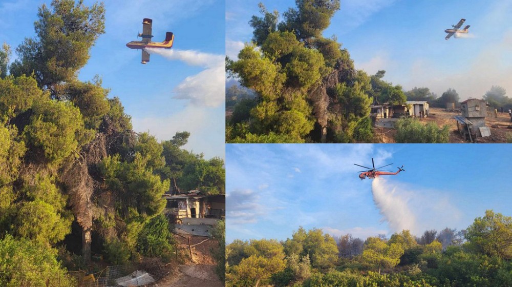 ΦΥΛΛΑ ΕΥΒΟΙΑΣ: Άρπαξε φωτιά από κεραυνό στην περιοχή Καλύβια