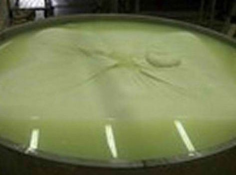 Εφτιαξαν ένα τόνο τυρί!