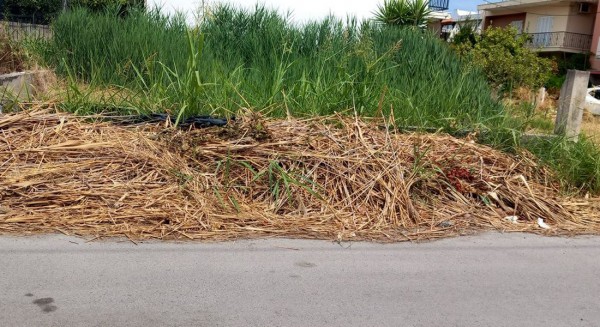 ΧΑΛΚΙΔΑ: Απαράδεκτες εικόνες στην Λιανή Άμμο