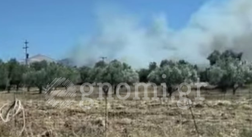 Φωτιά στον Κάμπο Αλιβερίου