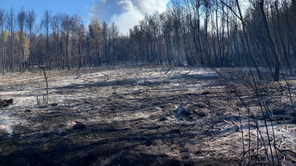 ΔΗΜΟΣ ΧΑΛΚΙΔΕΩΝ: Αίτημα για κήρυξη σε κατάσταση έκτακτης ανάγκης των κοινοτήτων Αφρατίου και Φύλλων