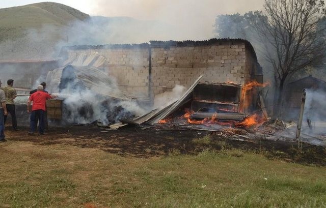 ΨΑΧΝΑ: Φωτιά έκαψε τον στάβλο του παπά Στέλιου Σωτηρόπουλου