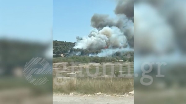 ΑΡΤΑΚΗ ΦΩΤΙΑ: Οι φλόγες ...έγλειψαν σπίτια στην περιοχή (ΒΙΝΤΕΟ)