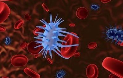 Ψαχνά: Ενημέρωση για τον καρκίνο του τραχήλου της μήτρας