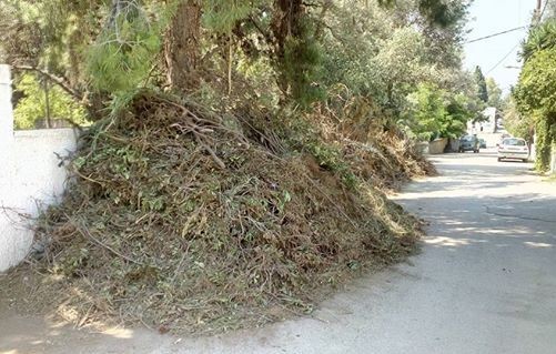Ένα ... βουνό ξερόχορτα δίπλα στο δρόμο στην Έξω Παναγίτσα