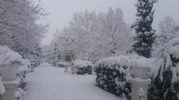 ΚΑΙΡΟΣ: Χιόνια την πρωτοχρονιά