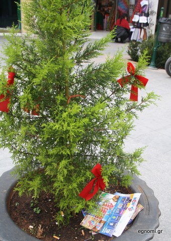 Άσχημη εικόνα τα φυλλάδια στη γλάστρα