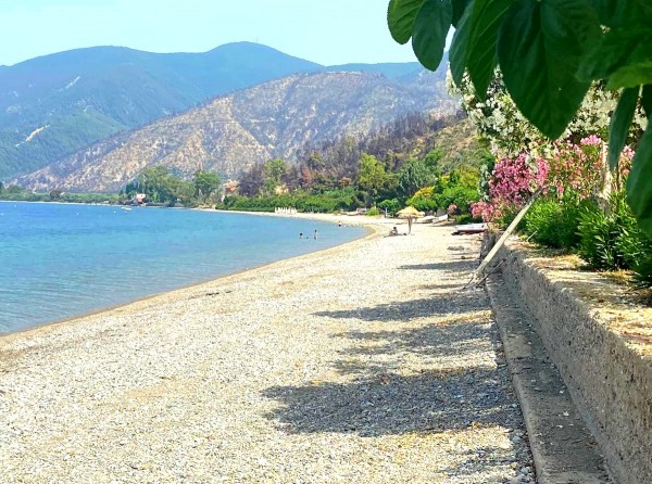 ΡΟΒΙΕΣ - ΒΟΡΕΙΑ ΕΥΒΟΙΑ: H θάλασσα είναι λάδι και η πλατεία ...ζωηρή