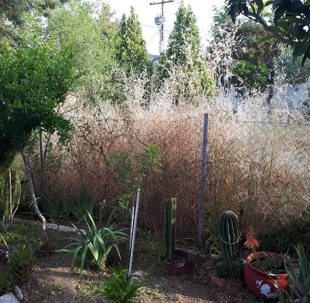 ΤΣΑΠΟΥΡΝΙΩΤΗΣ: Ανακοίνωσε την επιβολή προστίμων σε δημότες του Δήμου Μαντουδίου- Λίμνης - Αγίας Άννας