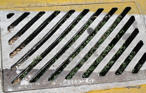 Φύτρωσαν χόρτα στη σχάρα του φρεατίου