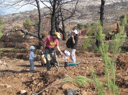 Αναδασώνουν το Θεολόγο