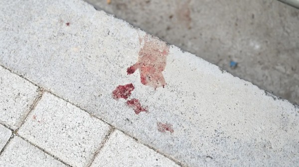 Μαχαίρωσαν και σκότωσαν 20χρονο οπαδό του ΠΑΟΚ (VIDEO)