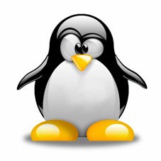 Η Ξανθιά και ο Πιγκουίνος