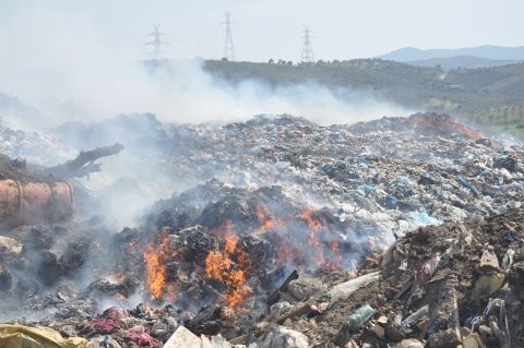 Φωτιά στα Ψαχνά κοντά στο πανεπιστήμιο