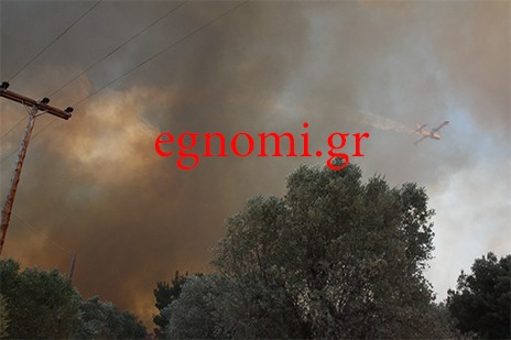 ΑΦΡΑΤΙ - ΔΟΚΟΣ: Συναγερμός όλη νύχτα για την πυρκαγιά