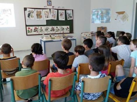 Η Περιφέρεια Στερεάς Ελλάδας έφερε  το μουσείο στο σχολείο