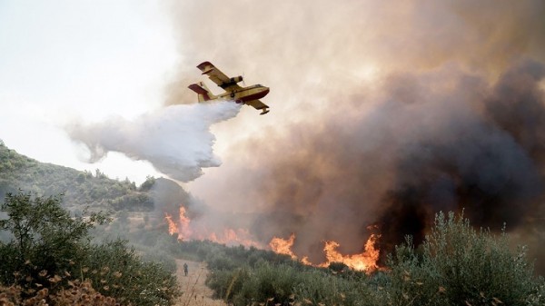 ΩΡΩΠΟΣ: Μεγάλη φωτιά σε αγροτοδασική έκταση - Ορατοί στην Εύβοια οι καπνοί