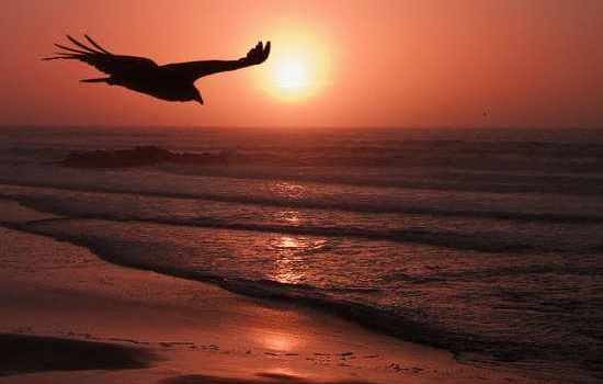 Το μεγαλείο της ψυχής του παπα-Διονύση!