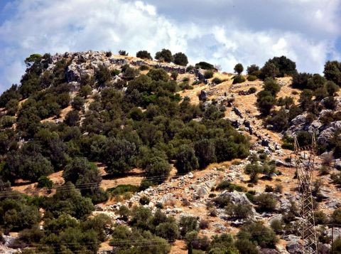 Καθαρίζουν το μονοπάτι που οδηγεί στην Ακρόπολη της Ερέτριας