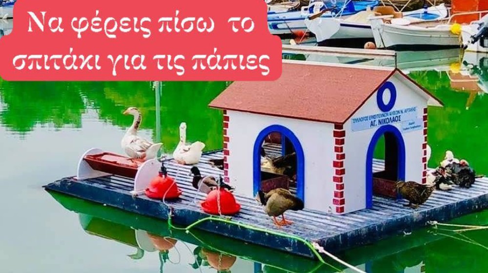 ΑΡΤΑΚΗ: Οι πάπιες έμειναν άστεγες και προέκυψε μείζον θέμα στην τοπική κοινωνία