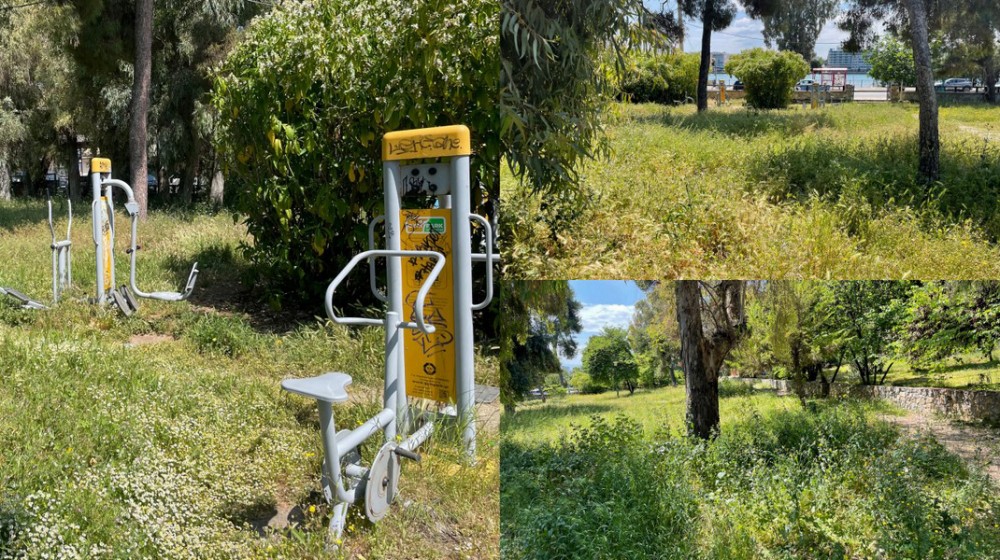 ΧΑΛΚΙΔΑ: Πνιγμένο από τα αγριόχορτα το αλσύλλιο του Καράμπαμπα