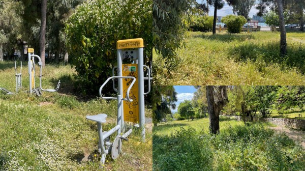 ΧΑΛΚΙΔΑ: Πνιγμένο από τα αγριόχορτα το αλσύλλιο του Καράμπαμπα