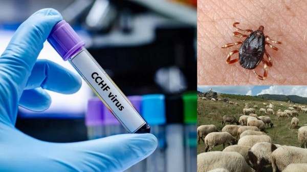 Οδηγίες σε κτηνοτρόφους μετά το θανατηφόρο κρούσμα Κριμαϊκού Αιμορραγικού Πυρετού του Κονγκό