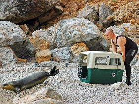 Η απελευθέρωση του Νηρέα