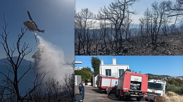 ΑΡΤΑΚΗ: Υπό έλεγχο η φωτιά στην Ακτή Βολέρι - Οι φλόγες ... έγλειψαν τα σπίτια