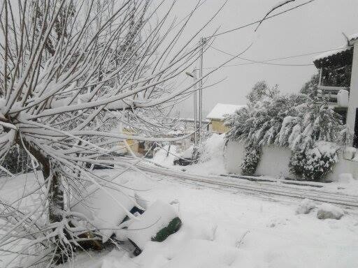 Μόνο η Βόρεια Εύβοια μας έλειπε: Χιόνι πολύ και στα Ελληνικά!