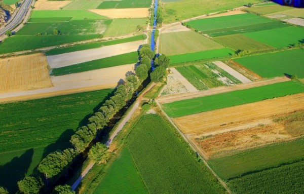 Ενίσχυση των νέων αγροτών της Στερεάς Ελλάδας