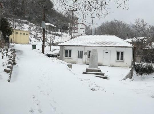 Αμέλαντες σε ...αμπελαλέ από το χιόνι!