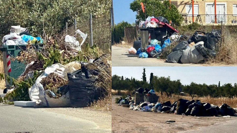 ΔΗΜΟΣ ΧΑΛΚΙΔΕΩΝ: Έρχονται 90 νέοι εργάτες καθαριότητας να ...σώσουν την κατάσταση με τα σκουπίδια