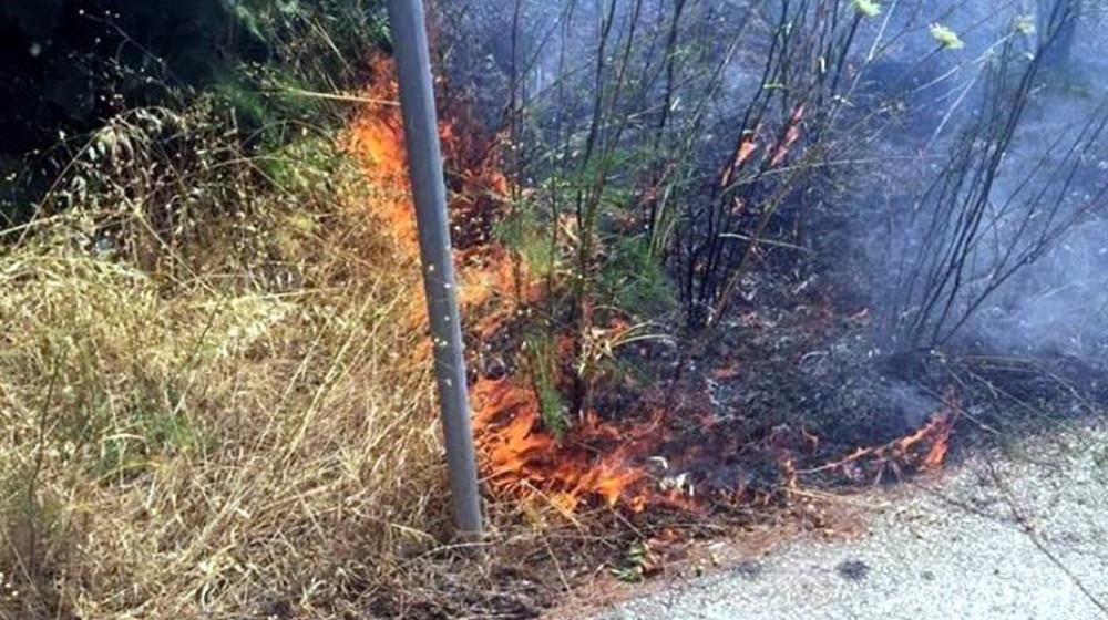 ΑΦΡΑΤΙ ΧΑΛΚΙΔΑΣ: Πρόστιμο 500 ευρώ για κάψιμο ξερών χόρτων χωρίς μέτρα ασφαλείας