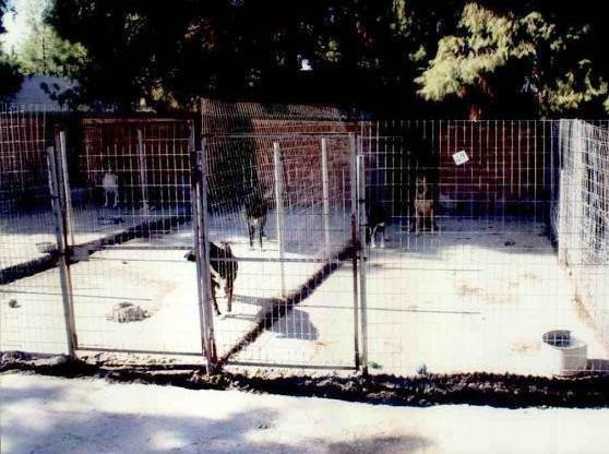 ΔΗΜΟΣ ΧΑΛΚΙΔΕΩΝ: Εντάχθηκε για χρηματοδότηση η βελτίωση του καταφύγιου αδέσποτων ζώων