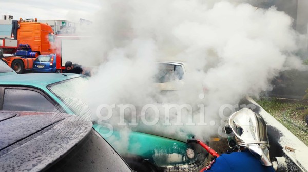 ΧΑΛΚΙΔΑ - ΟΡΕΣΤΗ ΜΑΚΡΗ: ΙΧ άρπαξε φωτιά