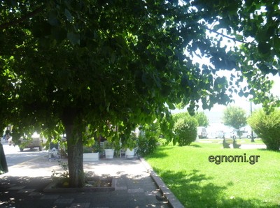 Θέλω κλάδεμα!