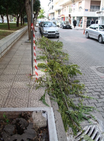 Κάλαντα με κλαδιά