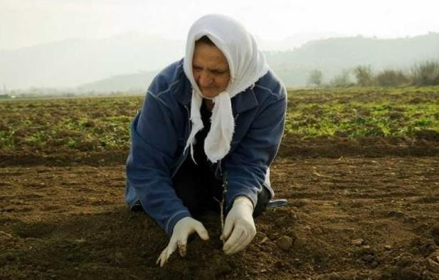 ΟΓΑ: Πριν από τα Χριστούγεννα το βοήθημα σε αγρότισσες πολύτεκνες μητέρες