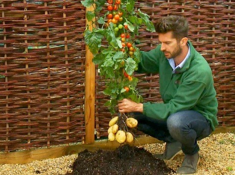Ενημέρωση για γεωπόνους στη Χαλκίδα