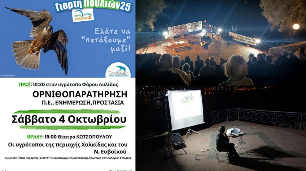 ΧΑΛΚΙΔΑ: Γιορτή πουλιών με ορνιθοπαρατήρηση, τραγούδια και ομιλίες