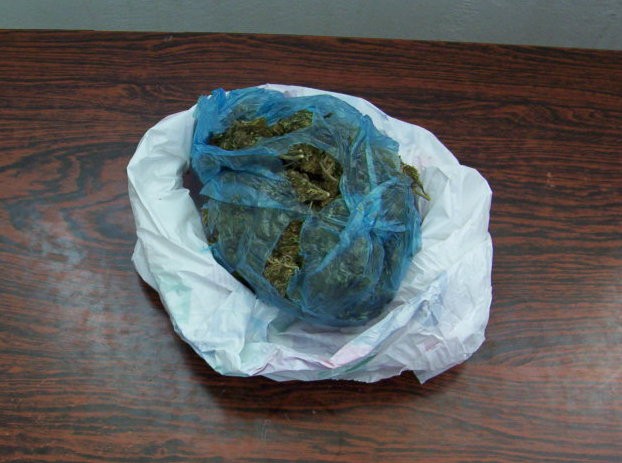 Νεαρά φυντάνια πιάστηκαν με ναρκωτκά