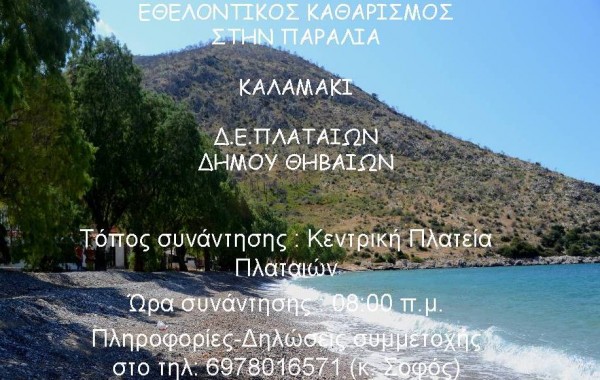 Εθελοντικός Καθαρισμός στην παραλία Καλαμάκι