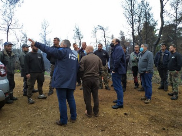 ΒΟΡΕΙΑ ΕΥΒΟΙΑ: Νομοθετικές ρυθμίσεις για την αναγνώριση χρόνου ασφάλισης πλητόμενων ρητινοκαλλιεργητών για το 2021