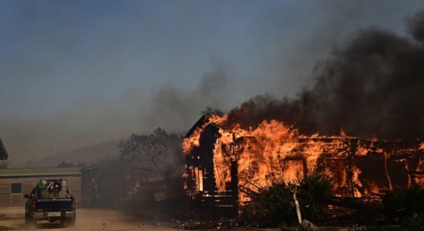 Κάηκε το καταφύγιο ζώων Fazoo Farm στο Λαγονήσι